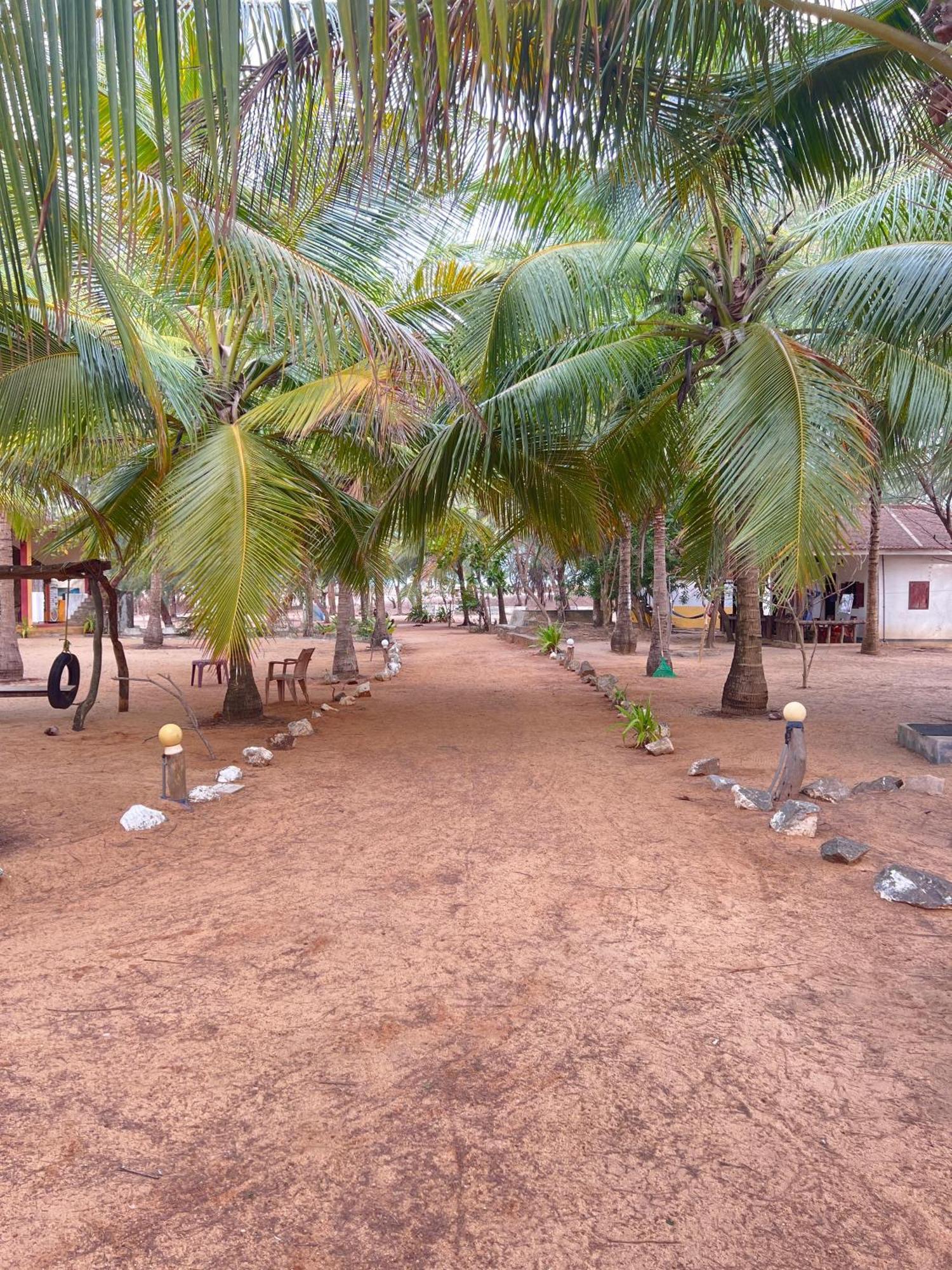 Sand Dune Beach Resort & Surf Camp Аругам Бей Екстериор снимка