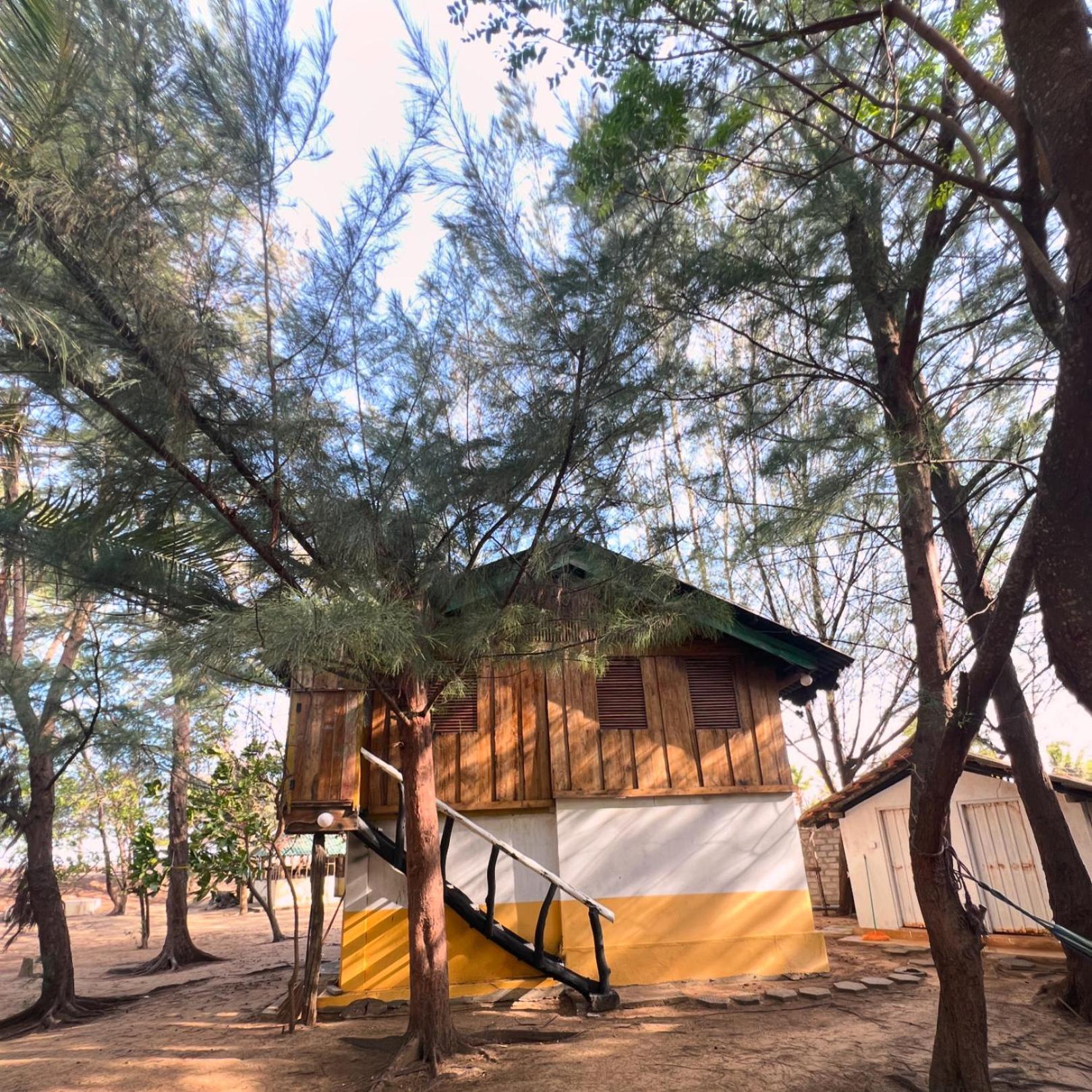 Sand Dune Beach Resort & Surf Camp Аругам Бей Екстериор снимка