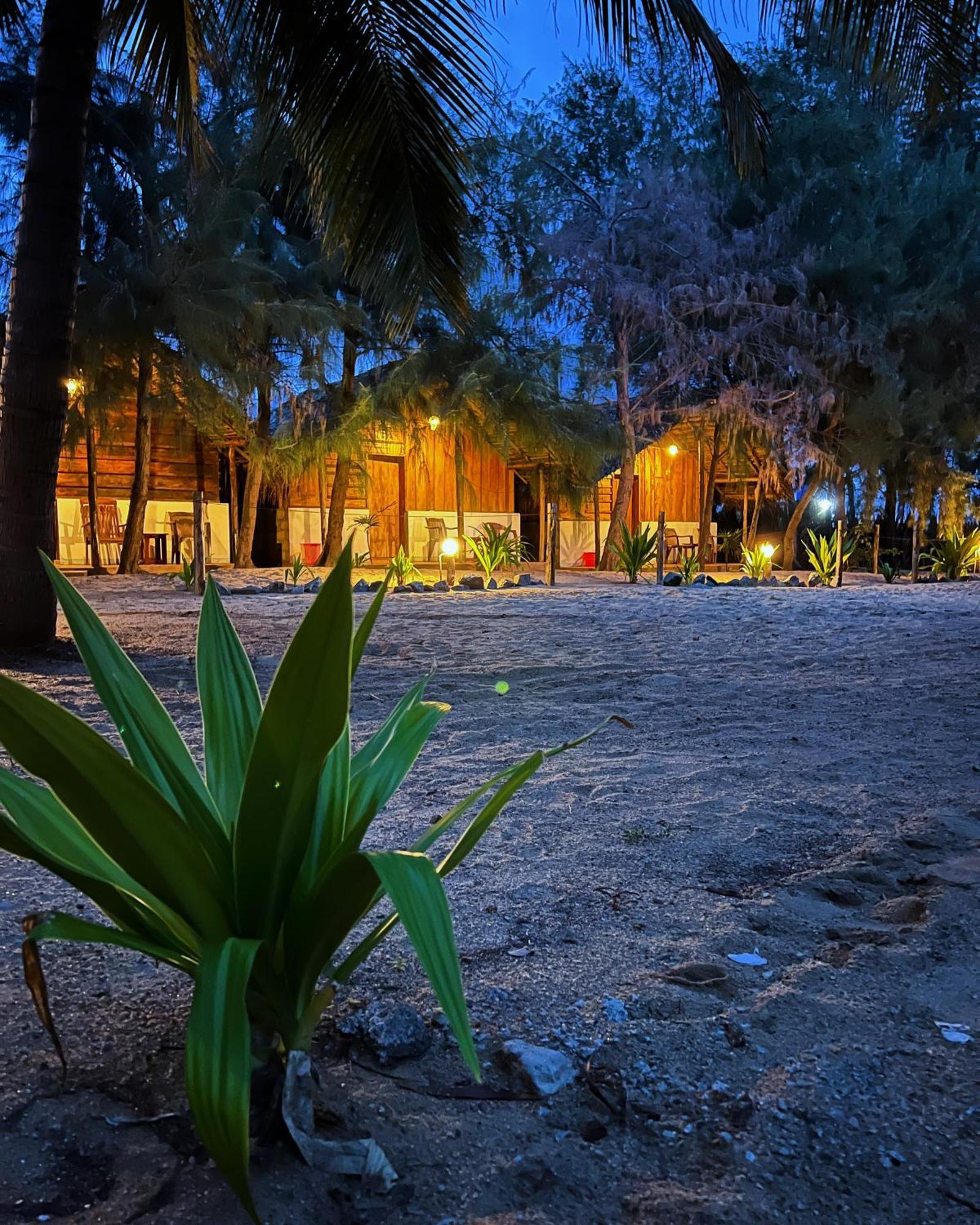 Sand Dune Beach Resort & Surf Camp Аругам Бей Екстериор снимка