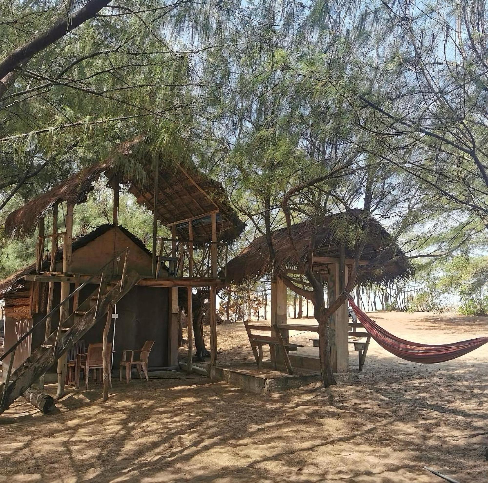 Sand Dune Beach Resort & Surf Camp Аругам Бей Екстериор снимка
