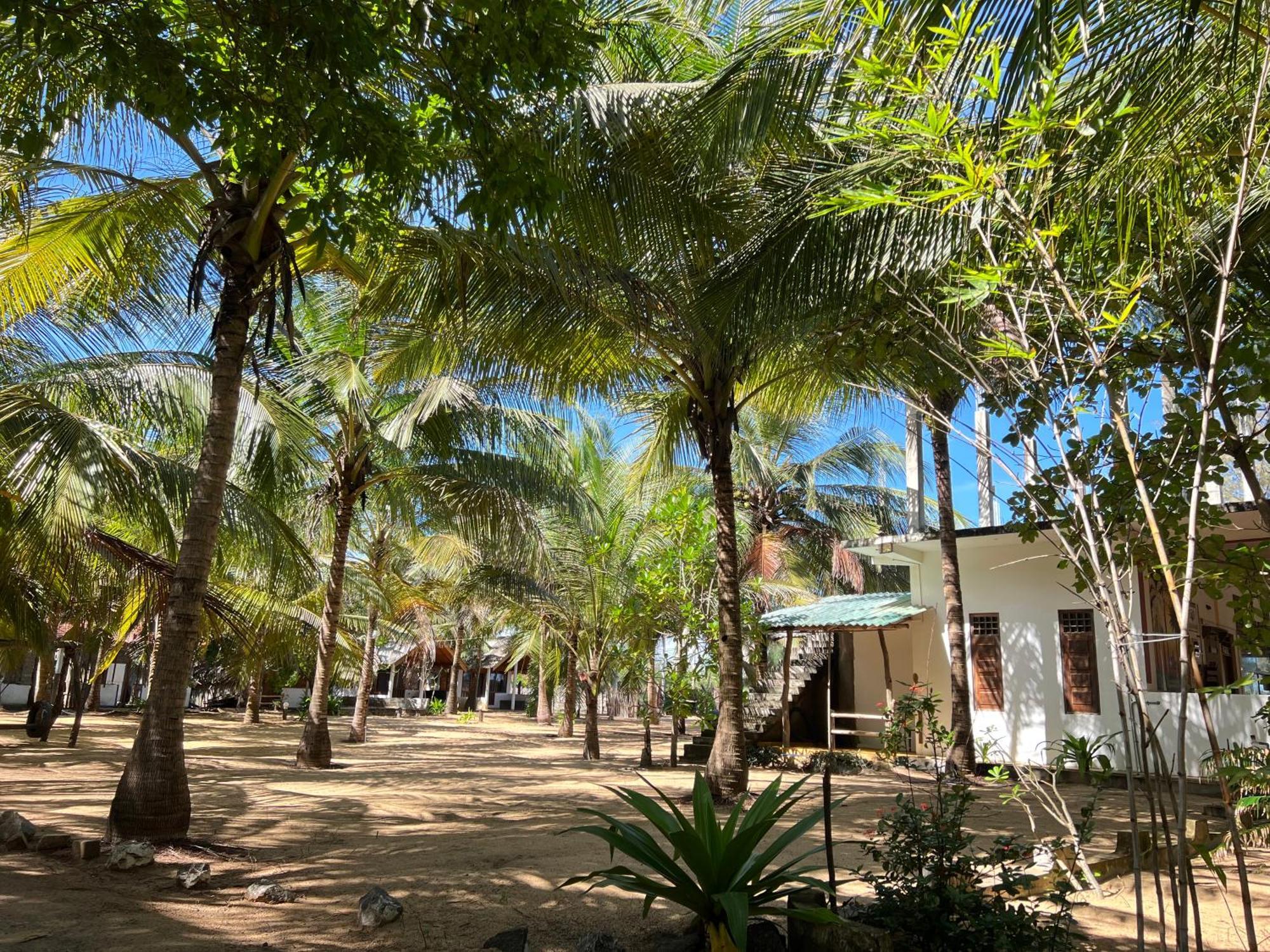 Sand Dune Beach Resort & Surf Camp Аругам Бей Екстериор снимка