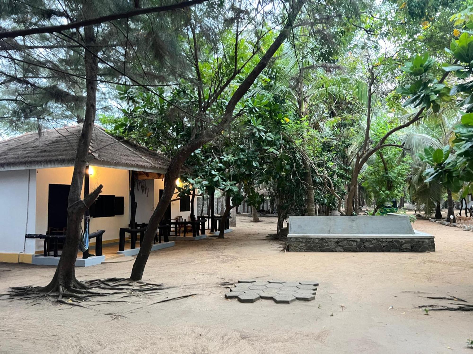 Sand Dune Beach Resort & Surf Camp Аругам Бей Екстериор снимка