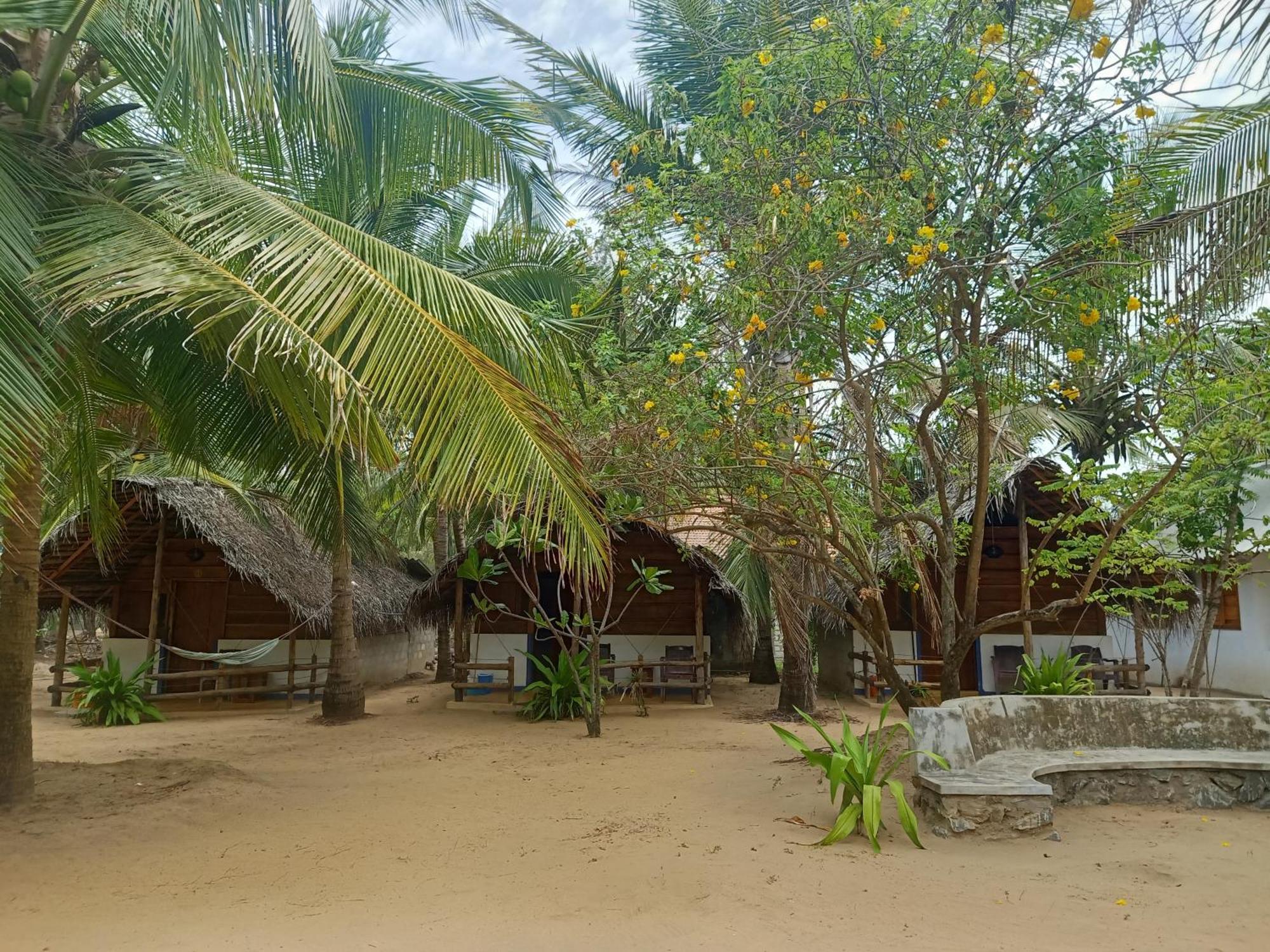 Sand Dune Beach Resort & Surf Camp Аругам Бей Екстериор снимка
