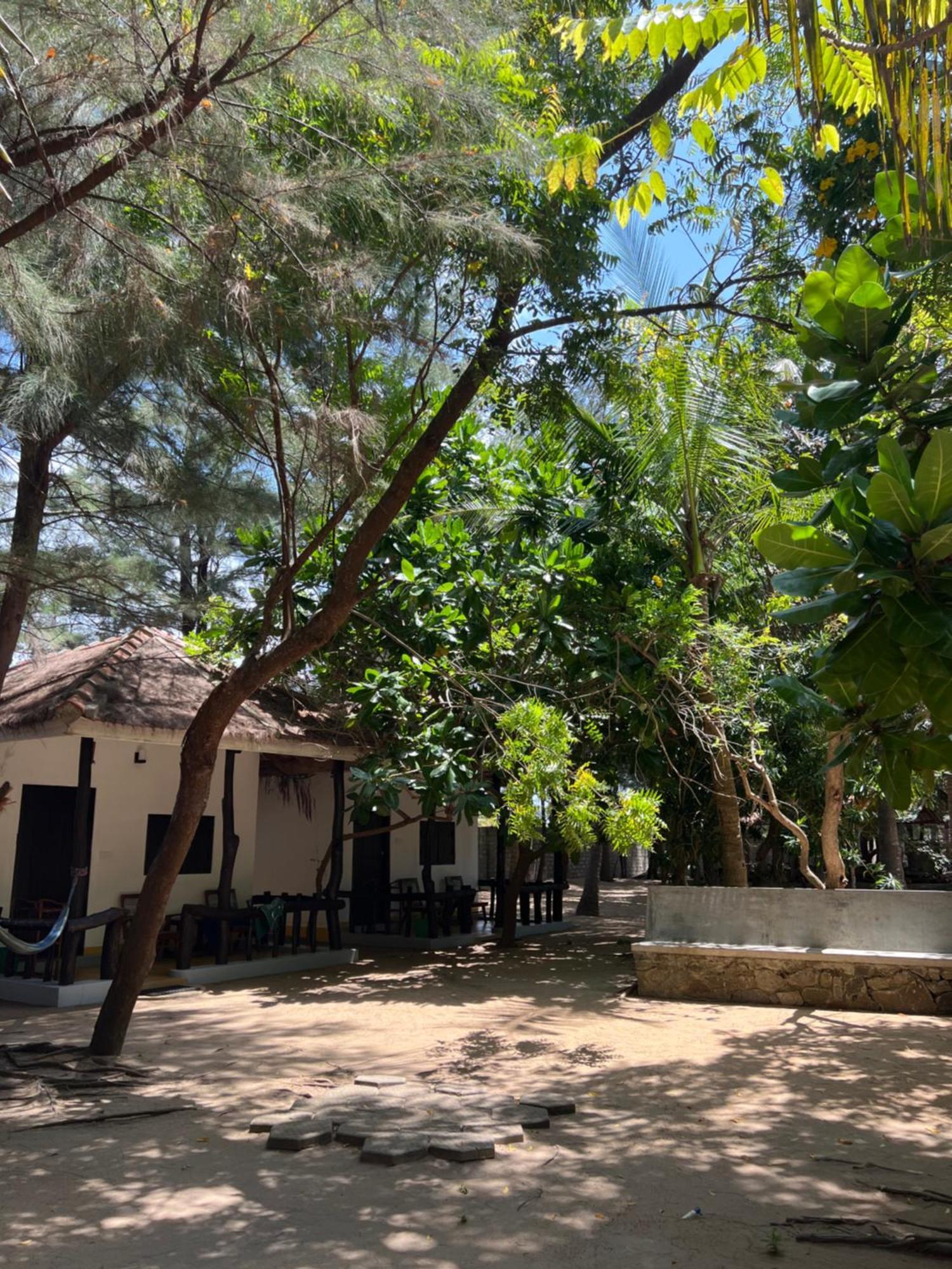 Sand Dune Beach Resort & Surf Camp Аругам Бей Екстериор снимка